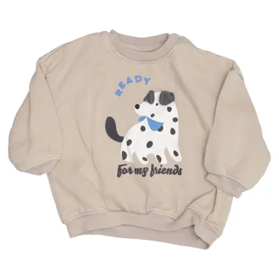 Sweatshirt (Beige, Flerfarvet) fra H&M Bomuld, Polyester