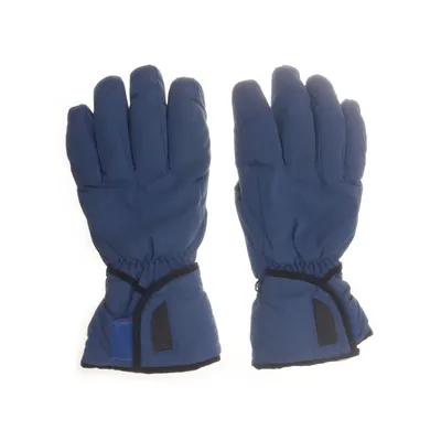Gloves (Blue, Black) from Thinsulate Polyester