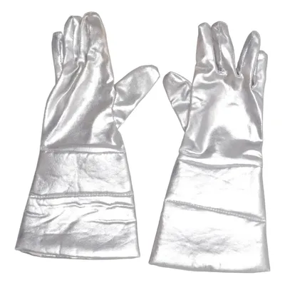 Accessoires de déguisement (Argent)