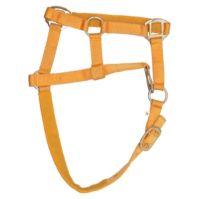Licol (Jaune)