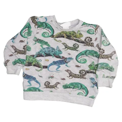 Sweatshirt (Gray, Multicolored) from Nathalie Lété x H&M Cotton