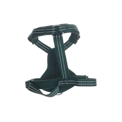 Hundsele (Grön) från Tiki