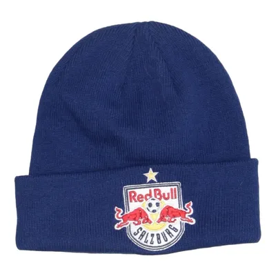 Beanie (Blue, Multicolored) from Redbull Acrylic
