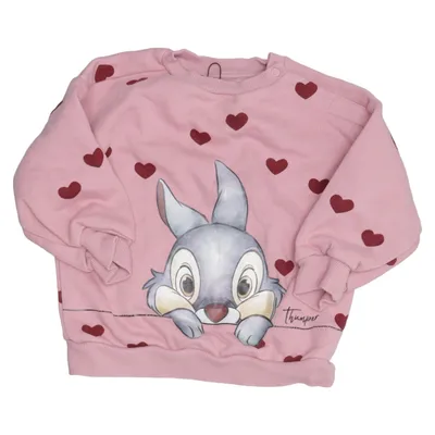 Sweatshirt (Roze, Bruin) van Cubus Mini Organisch katoen, Gerecycled polyester