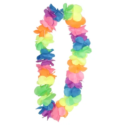 Kostuum accessoires (Meerkleurig)