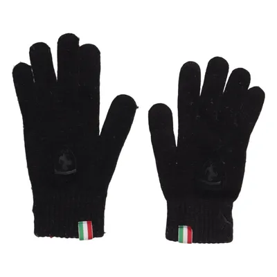 Handschoenen (Zwart) van Puma x Ferrari