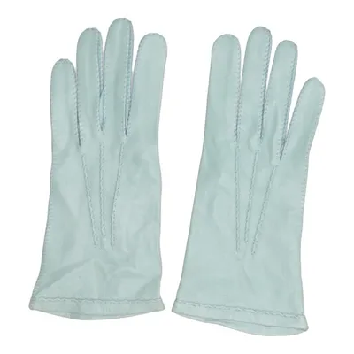 Gloves (Blue)