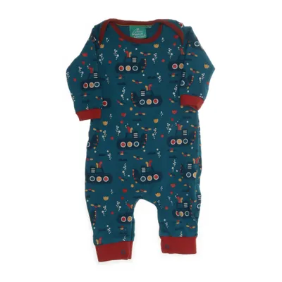 Rompers (Blue, Multicolored) from Little Green Radicals Organic cotton