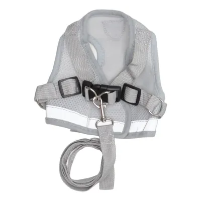 Harnais pour chien (Gris)
