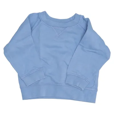 Sweatshirt (Blue) from Arket Cotton