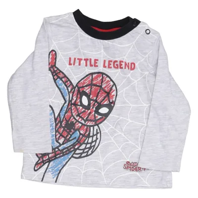 Long sleeve T-shirt (Gray, Multicolored) from Marvel Cotton, Polyester