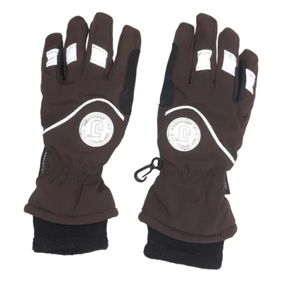 Handskar (Brun, Svart) från Thermofibre