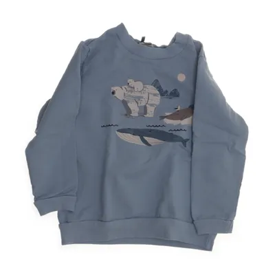 Collegetröja (Blå) från Alana Bomull