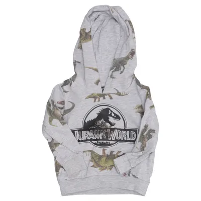 Hoodie (Gray, Multicolored) from Jurassic World Cotton, Viscose