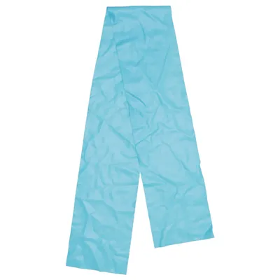 Resistance band (Blue) from WRsport