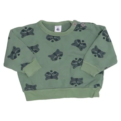 Collegetröja (Grön) från Petit Bateau Bomull