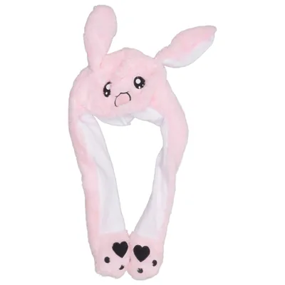 Accessoires de déguisement (Rose)