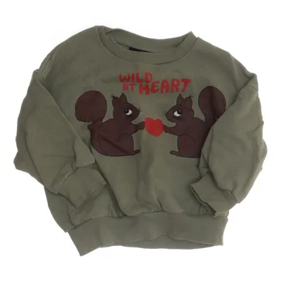 Sweatshirt (Grøn) fra Mini Rodini Bomuld
