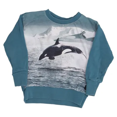 Sweatshirt (Madsim) fra Molo Bomuld