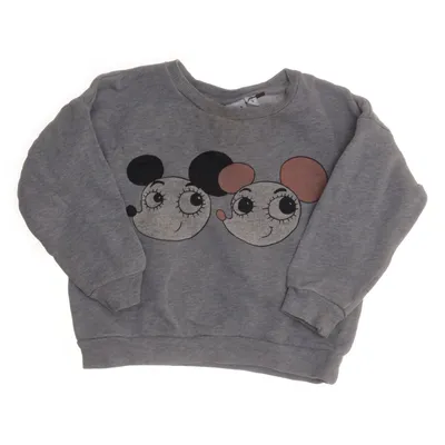 Sweatshirt (Gray) from Mini Rodini Cotton