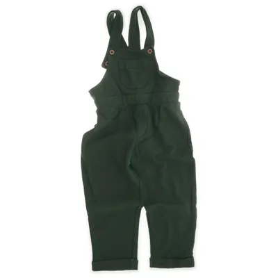 Dungarees (Green) from Alana Organic cotton
