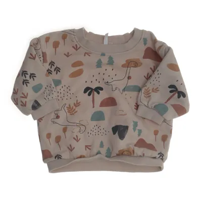 Sweatshirt (Beige, Flerfarvet) fra Rich Bomuld, Polyester