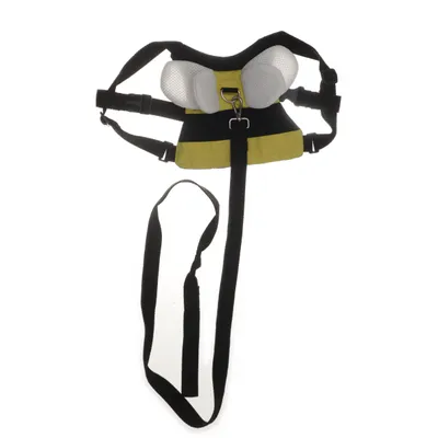 Accessoire pour animaux de compagnie (Noir, Jaune, Blanc)