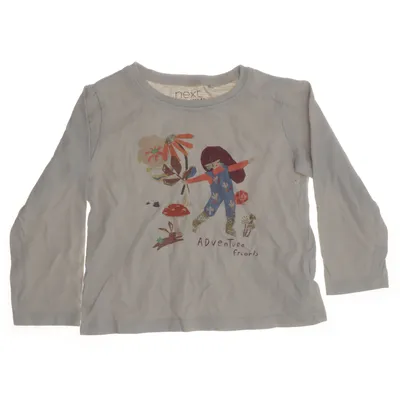 Långärmad t-shirt (Grå, Flerfärgad) från Next Bomull