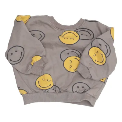 Sweatshirt (Grijs, Geel, Meerkleurig) van Smiley World Katoen