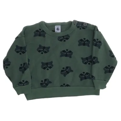 Sweatshirt (Green) from Petit Bateau Cotton