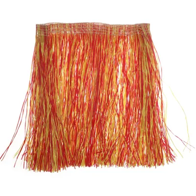 Fancy dress (Red, Yellow)