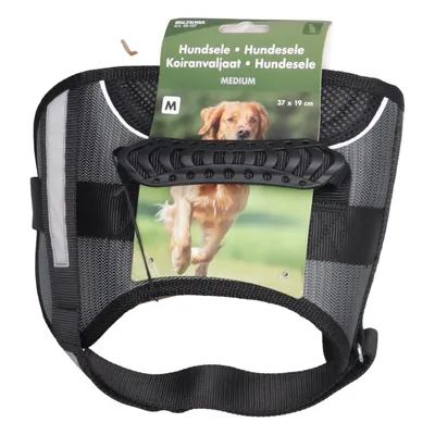 Harnais pour chien (Hundsele) de Biltema