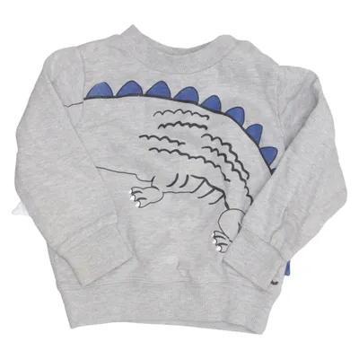 Collegetröja (Grå, Blå) från Pytteliten