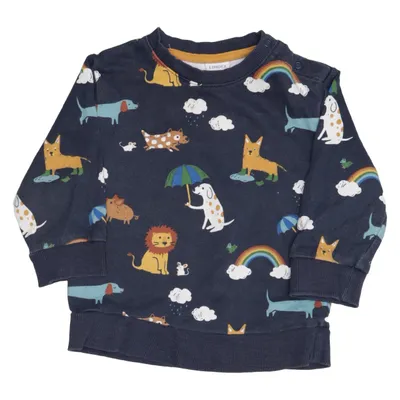 Sweatshirt (Blue, Multicolored) from Lindex Baby Cotton