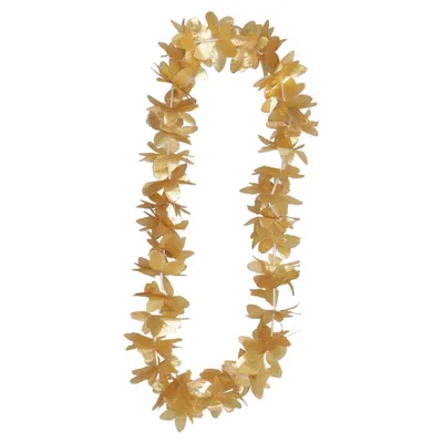 Kostuum accessoires (Goud)