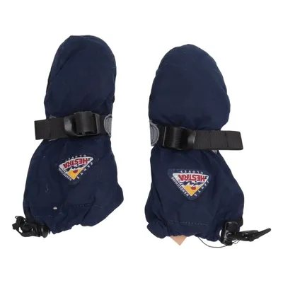 Mittens (Blue) from Hestra Polyamide, Wool