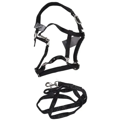 Licol (Noir) de Equiline