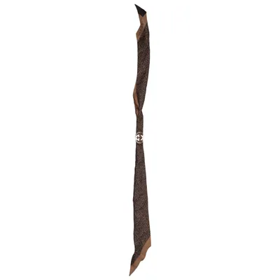 Cache-col (Marron) de Gucci Soie