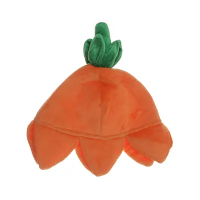 Kostuum accessoires (Oranje)