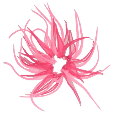 Maskeradtillbehör (Rosa, Flerfärgad)