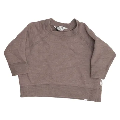 Sweatshirt (Beige) van Dilling Merinowol