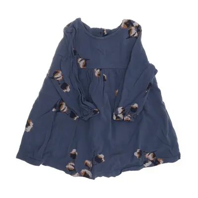 Dress (Blue, Multicolored) from POMPdeLUx Cotton, Viscose