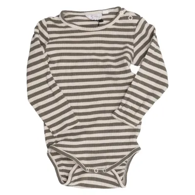 Body (Beige, Marron) de The New Élasthane, Coton biologique