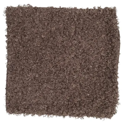 Cushion cover (Brown) from Svanefors Polyester