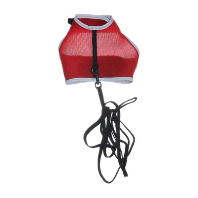 Kattsele (Röd, Svart, Grå)