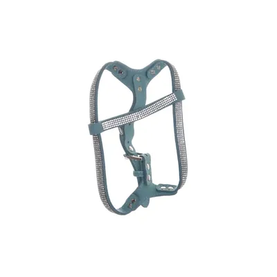 Kattsele (Blå, Vit)