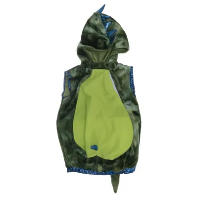 Feestkostuums (Groen, Meerkleurig) van Forum Polyester