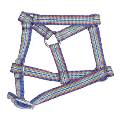 Halter (Mini Foal) from Mini Foal