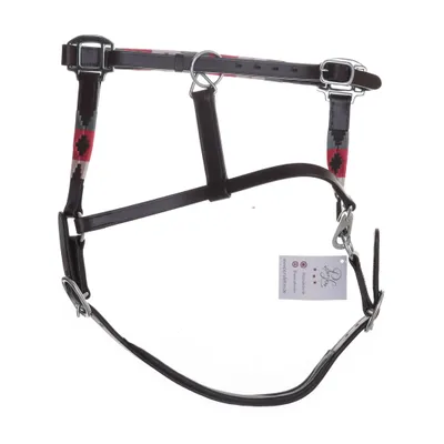 Bridle (Warmblut ) from Ponyliebe