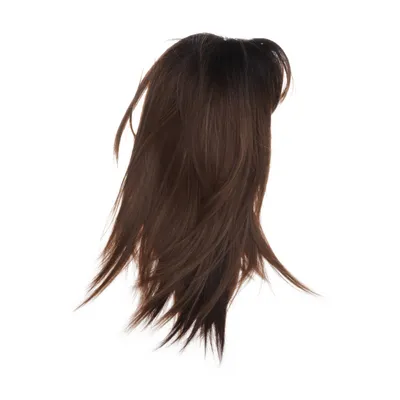 Wig (Brown)